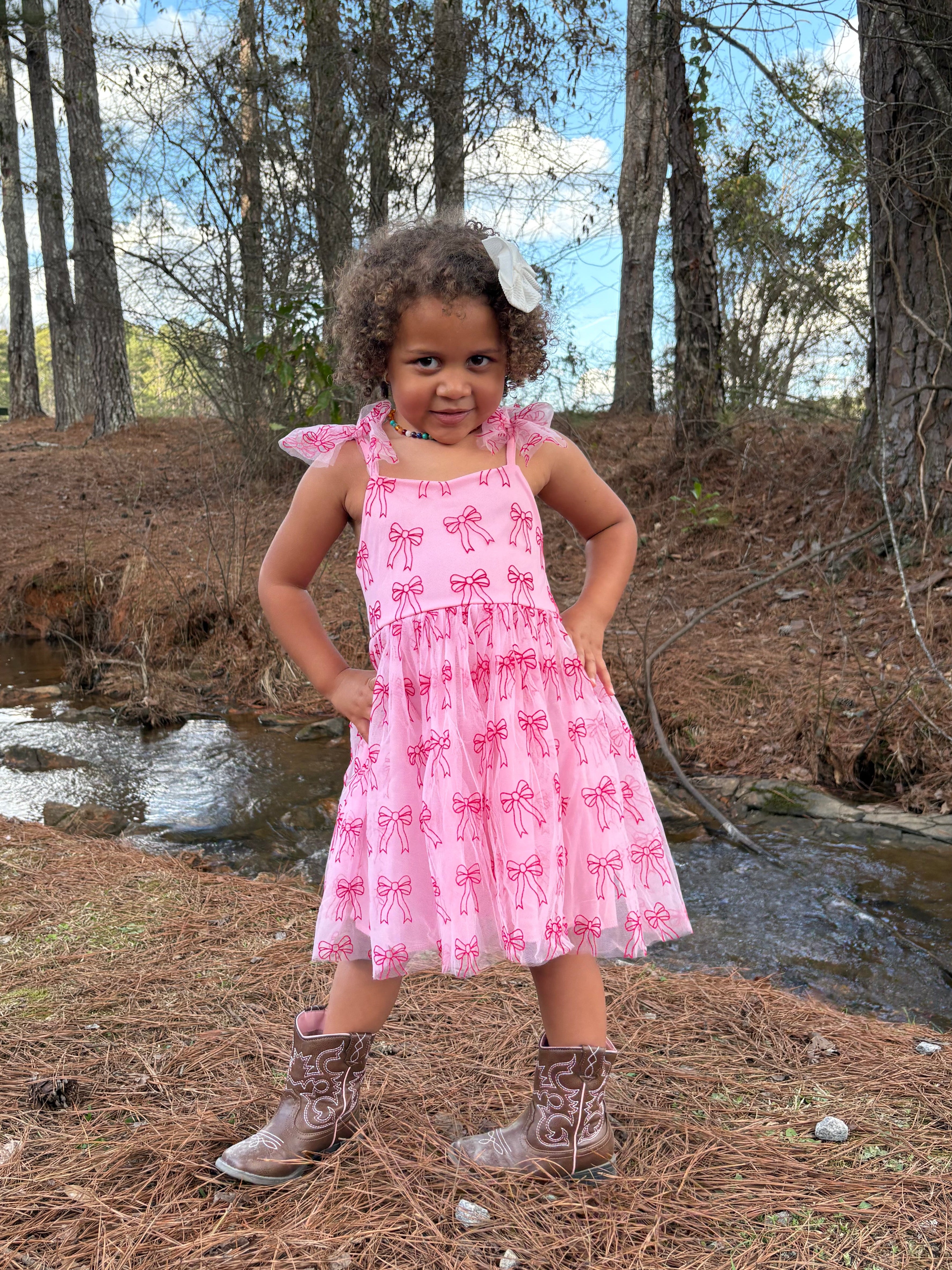 Girl's Pink Bow Tulle Dress